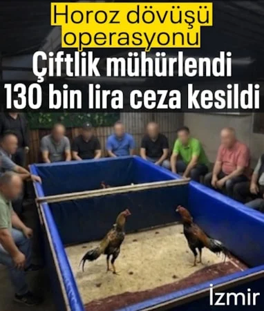 Horoz dövüşü operasyonunda çiftlik mühürlendi… Horoz dövüşü operasyonunda çiftlik mühürlendi…