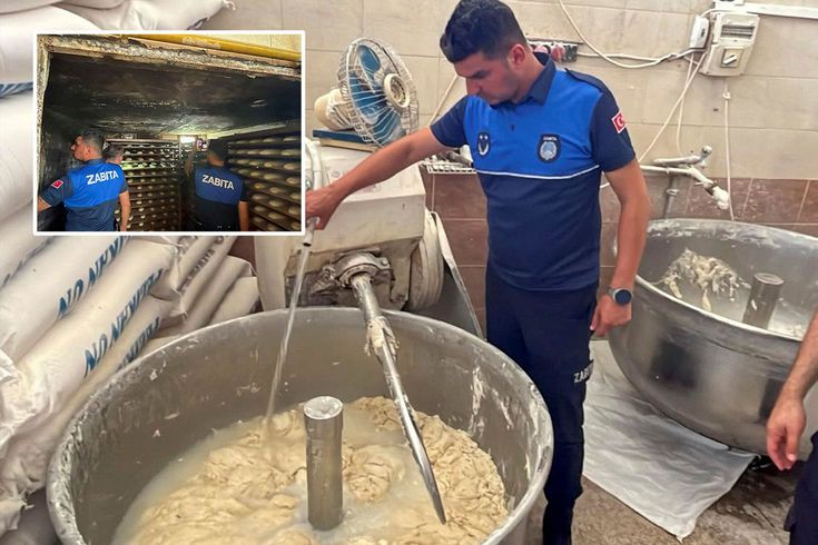 Fırında mide bulandıran manzara: 17 ayrı ceza kesildi… Fırında mide bulandıran manzara: 17 ayrı ceza kesildi…