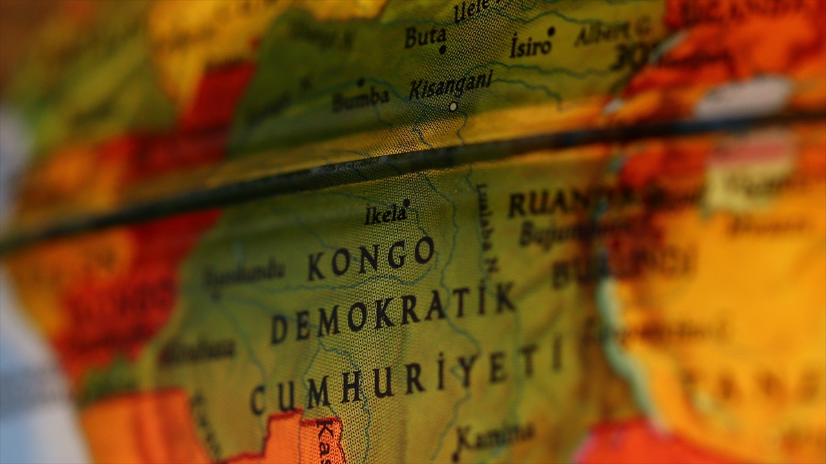 Kongo Demokratik Cumhuriyeti yağmur ormanlarında yeni maymun türü keşfedildi Kongo Demokratik Cumhuriyeti yağmur ormanlarında yeni maymun türü keşfedildi