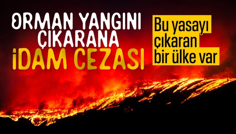 Cezayir’de orman yangınlarını çıkaranlara idam cezası geliyor… Cezayir’de orman yangınlarını çıkaranlara idam cezası geliyor…
