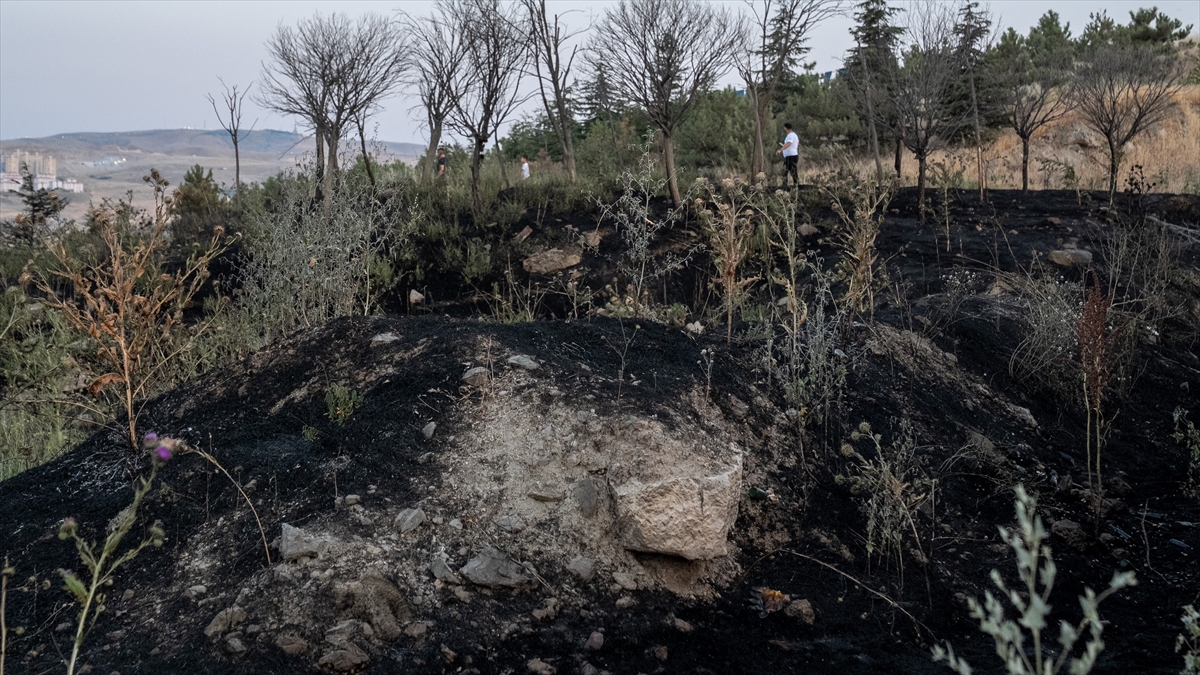Ankara’da 2 ayda otluk ve ekili alanlarda 2 bin 242 yangın çıktı