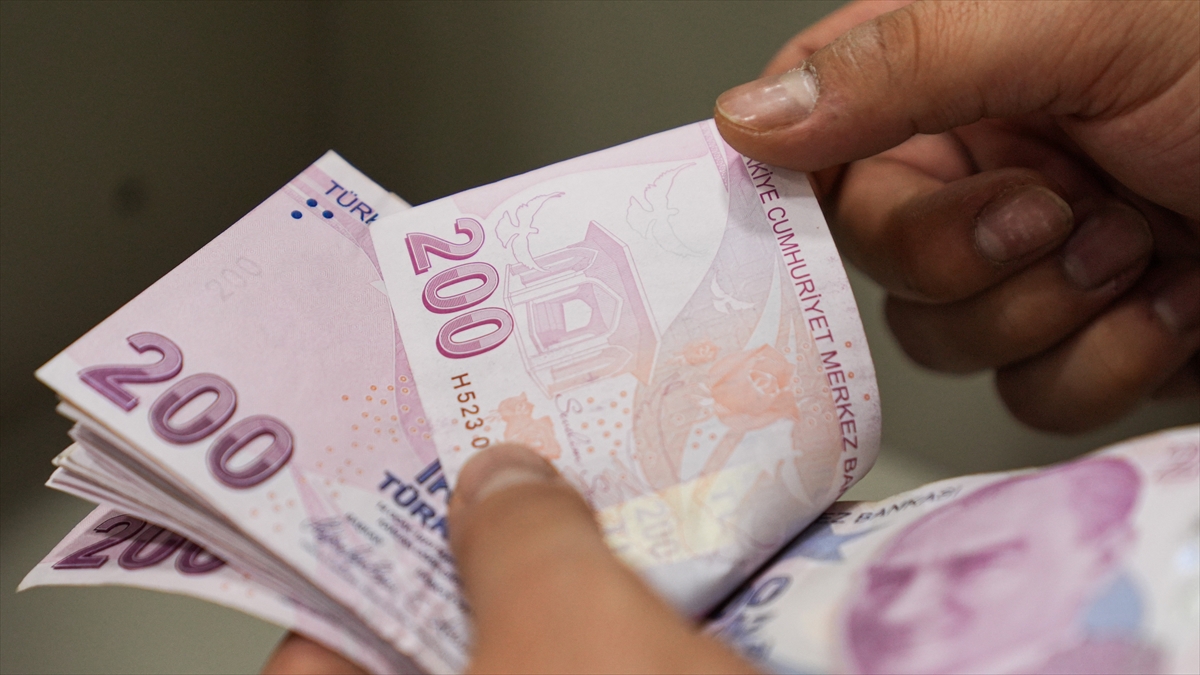 Bankacılık sektörünün net karı temmuzda 596,4 milyar lira oldu