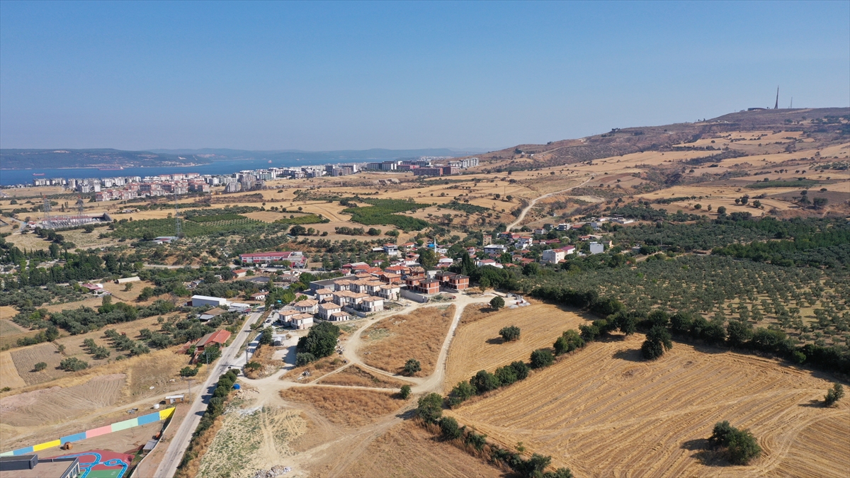 Biyoçeşitliliğe zarar veren orman yangınlarının önlenmesinde kuru ot temizliği önemli