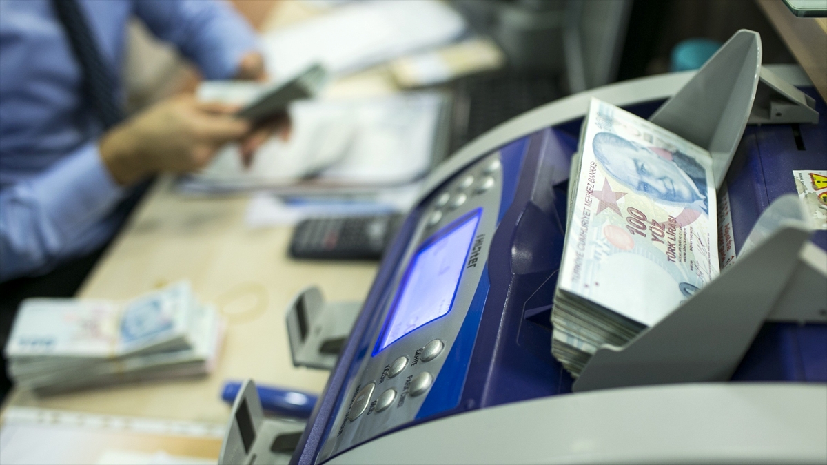 Bütçe uygulama sonuçları açıklandı Bütçe uygulama sonuçları açıklandı