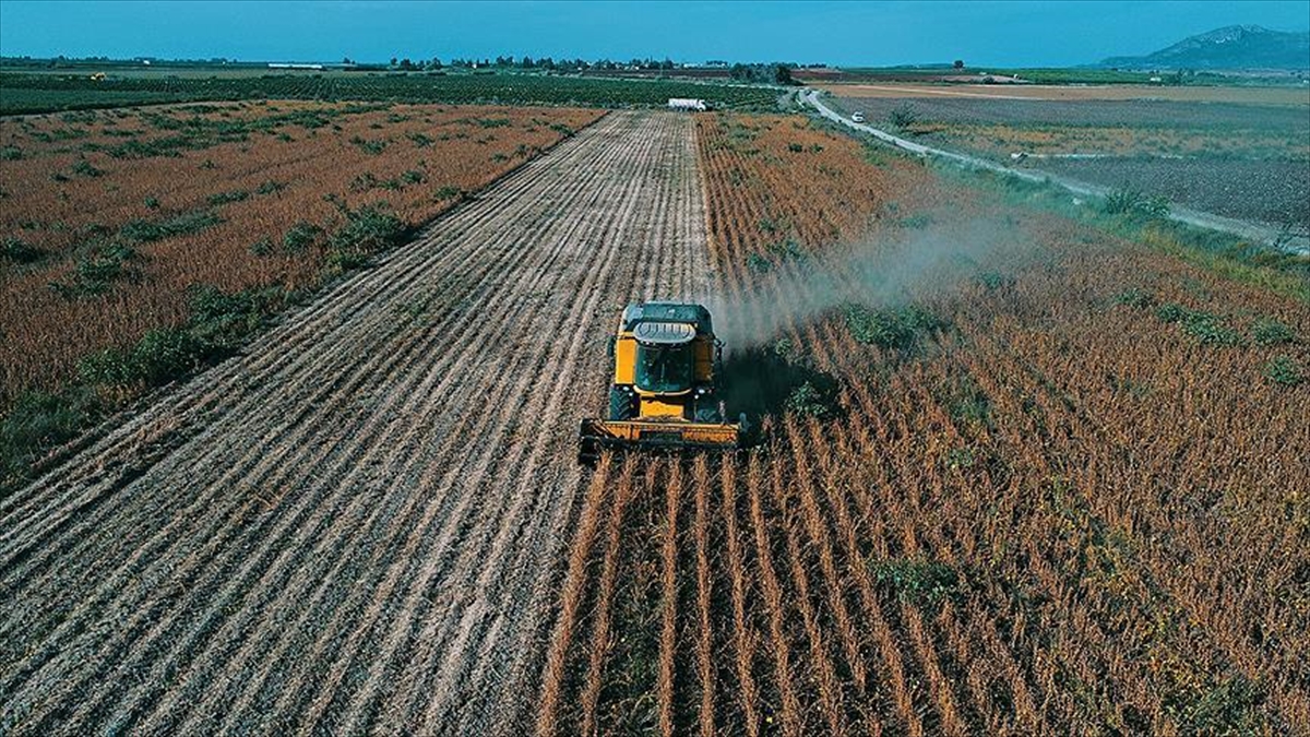 Çiftçilerin hesaplarına 195,6 milyon lira tarımsal destekleme ödemesi aktarılıyor