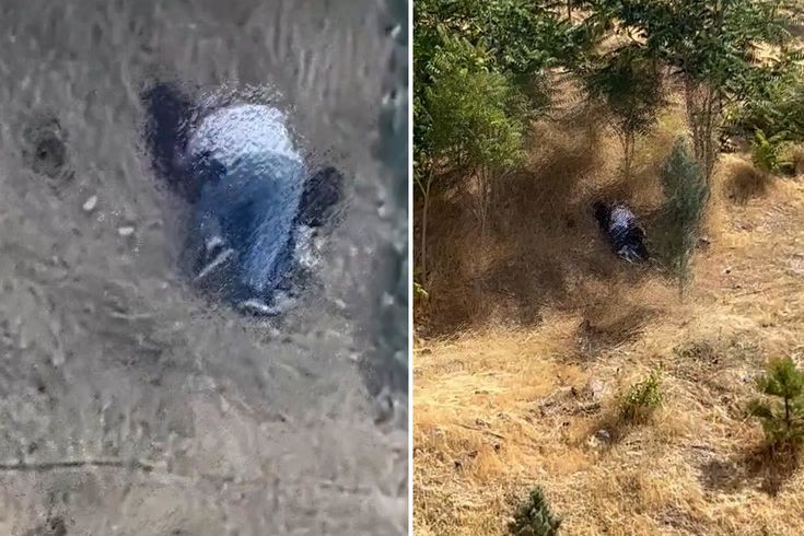 Görüntü başkent Ankara’dan! Rezilliği görenler telefona sarıldı… Görüntü başkent Ankara’dan! Rezilliği görenler telefona sarıldı…