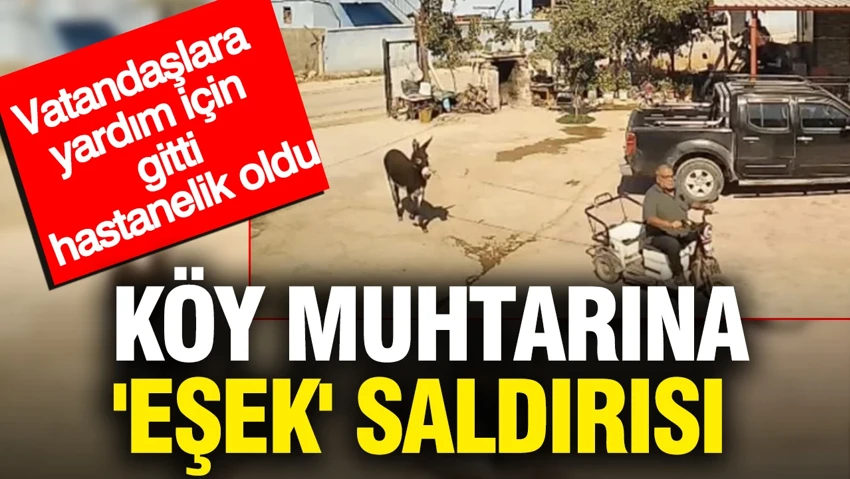 Köy muhtarına ‘eşek’ saldırısı… Köy muhtarına ‘eşek’ saldırısı…