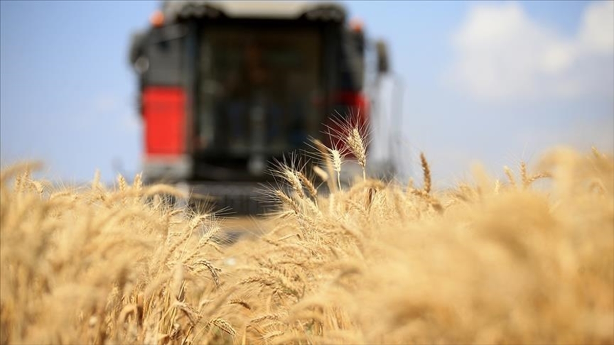 Küresel gıda fiyatları 3,5 yılın zirvesinde Küresel gıda fiyatları 3,5 yılın zirvesinde