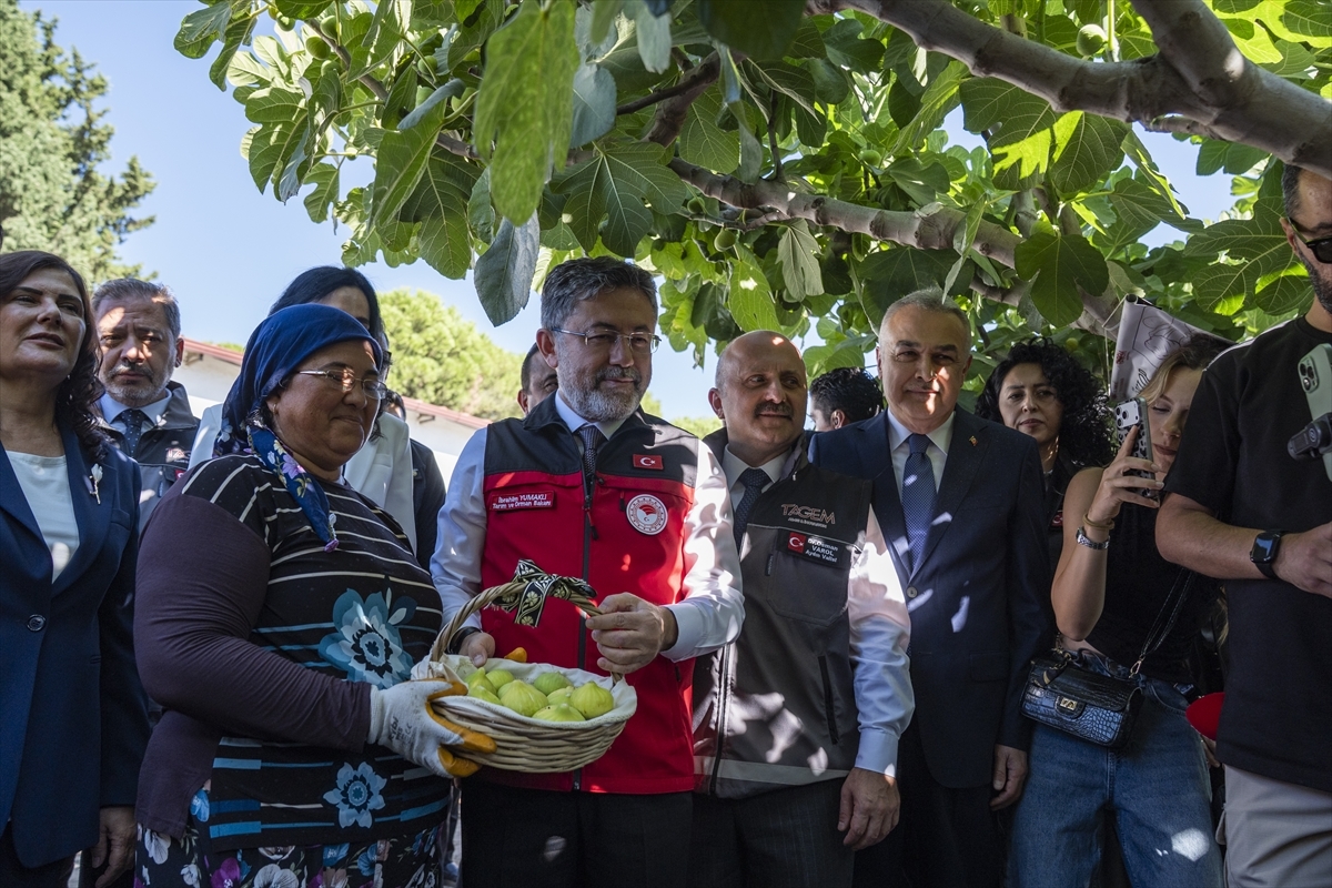 Tarım ve Orman Bakanı Yumaklı: Türkiye, dünya incir üretiminde yüzde 28’lik oranla birinci sırada. Tarım ve Orman Bakanı Yumaklı: Türkiye, dünya incir üretiminde yüzde 28’lik oranla birinci sırada.