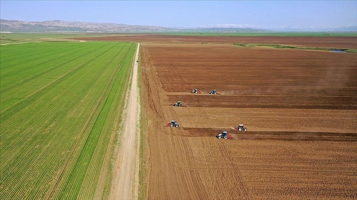 Tarımsal girdi fiyat endeksi haziranda yıllık bazda yüzde 32,06 artarken aylık yüzde 0,92 azaldı Tarımsal girdi fiyat endeksi haziranda yıllık bazda yüzde 32,06 artarken aylık yüzde 0,92 azaldı