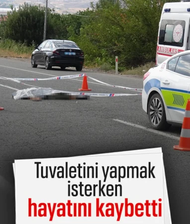 Malatya’da tuvalet için yolun karşısına geçen sürücüye araç çarptı…