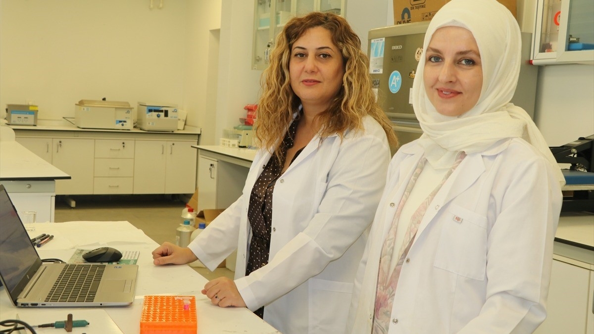 Akademisyenler yumurtalık kanserinin tespitini hızlandıracak test geliştirdi Akademisyenler yumurtalık kanserinin tespitini hızlandıracak test geliştirdi