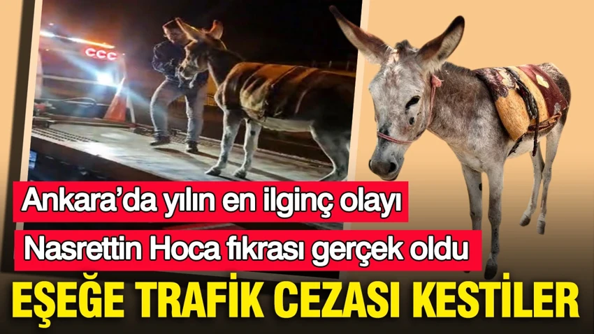 Nasrettin Hoca fıkrası gerçek oldu: Ankara’da yılın en ilginç olayı… Nasrettin Hoca fıkrası gerçek oldu: Ankara’da yılın en ilginç olayı…