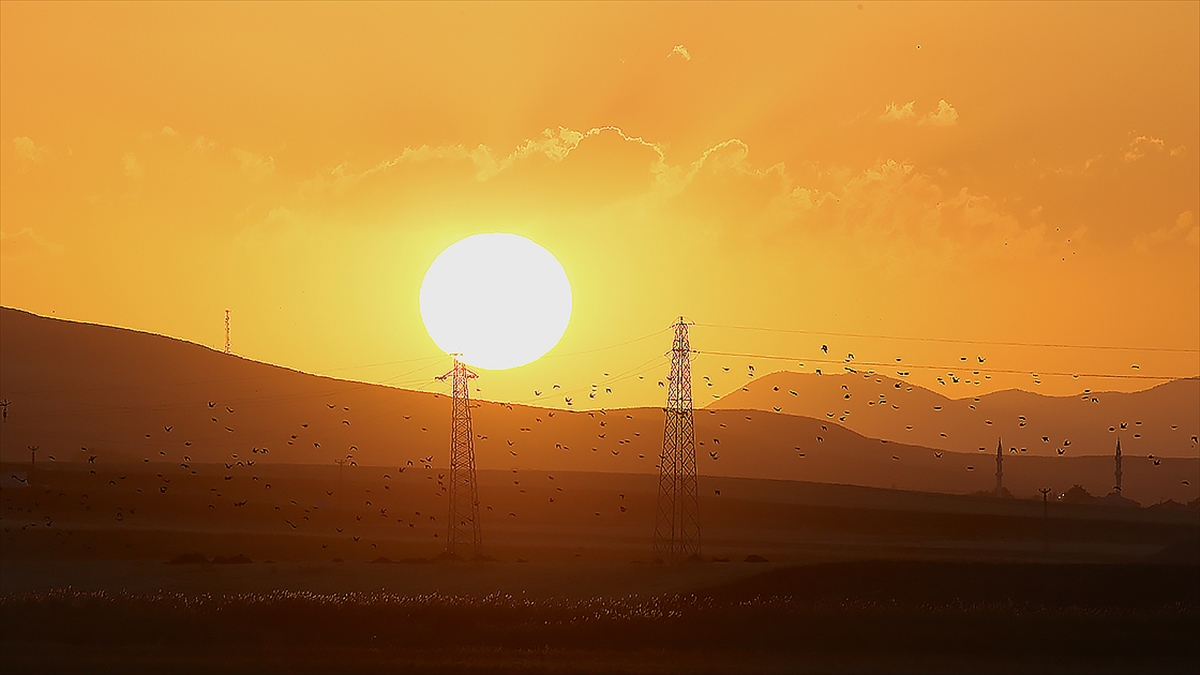 Göçmen kuşların rotası elektrik şebekesindeki önlemleri şekillendiriyor Göçmen kuşların rotası elektrik şebekesindeki önlemleri şekillendiriyor