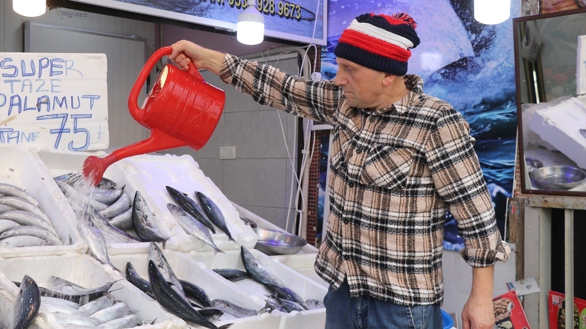 Karadeniz’de palamut bolluğu Rize’de tezgahlara yansıdı