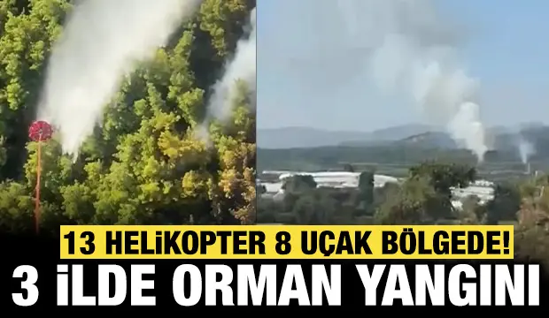 Manavgat’ta orman yangını: 75 personel bölgede!