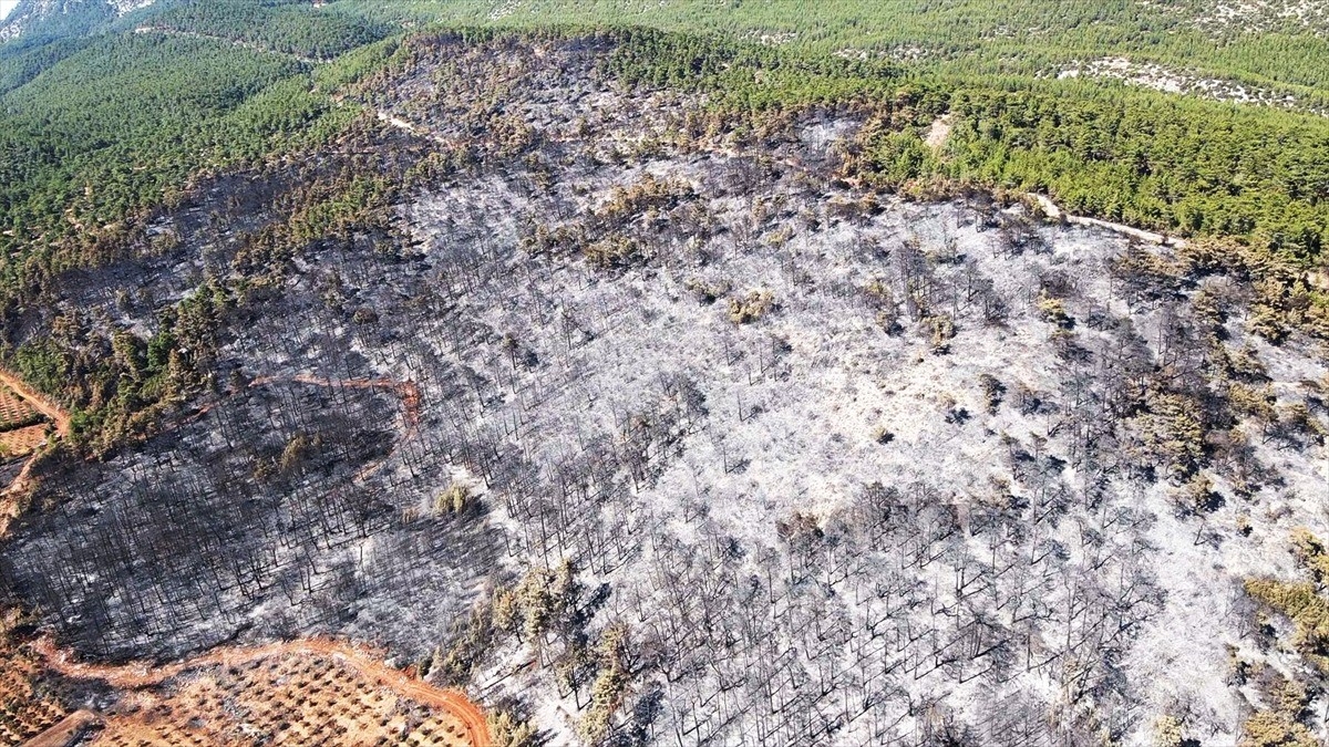 Muğla’da yanan ormanlık alan havadan görüntülendi