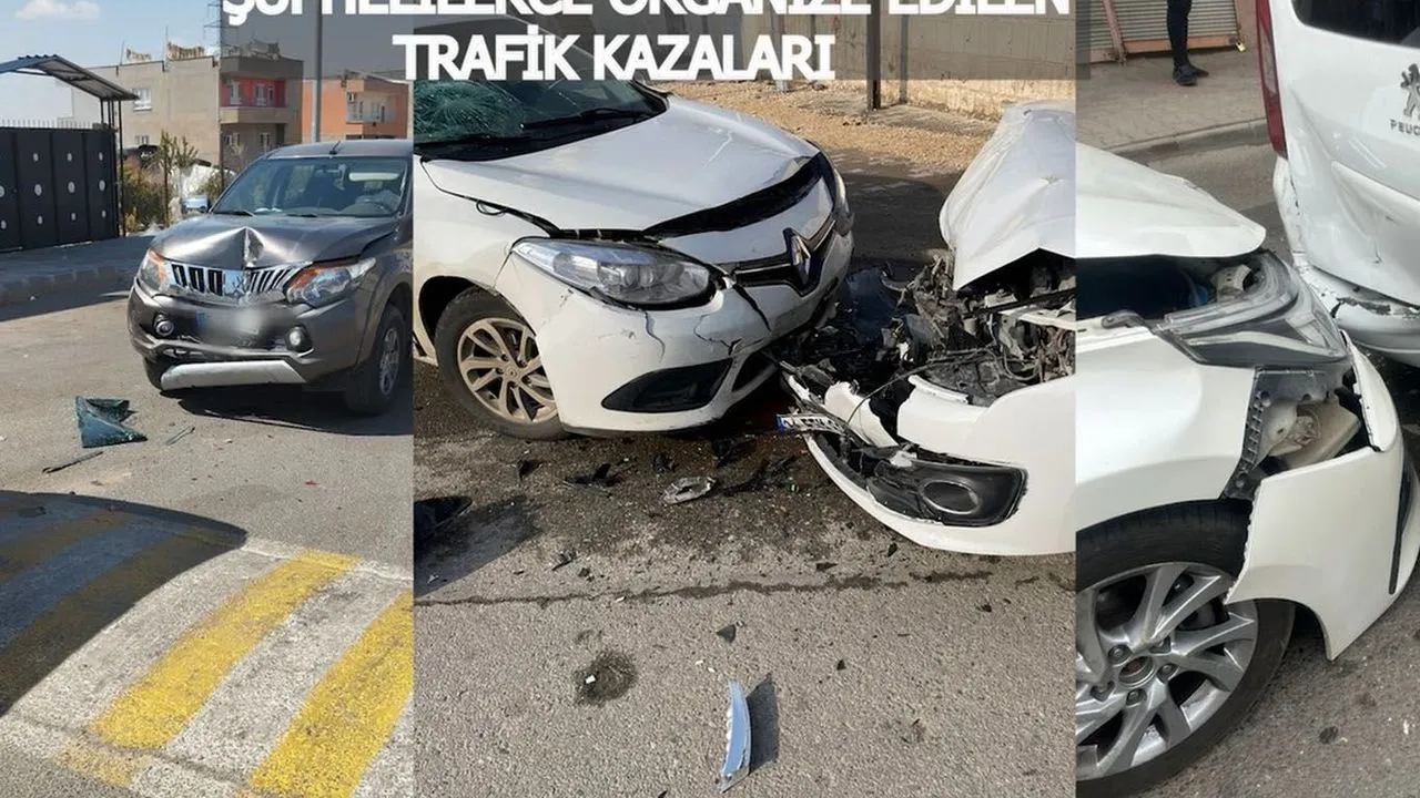 Batman merkezli 11 ilde sigorta dolandırıcılığı operasyonu: 43 kişi gözaltında…