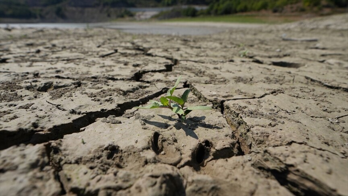 BM kuruluşlarından El Nino’ya karşı “erken ve ciddiyetle harekete geçilmesi” çağrısı BM kuruluşlarından El Nino’ya karşı “erken ve ciddiyetle harekete geçilmesi” çağrısı