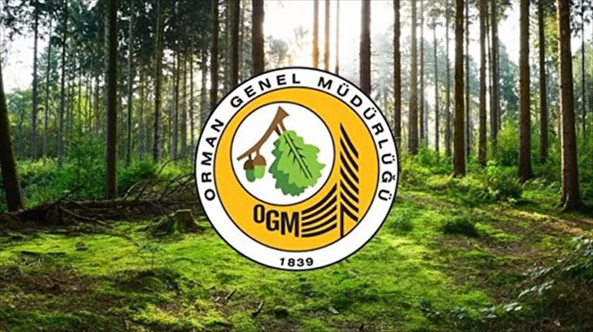 Orman Genel Müdürlüğü 12 müfettiş yardımcısı istihdam edecek